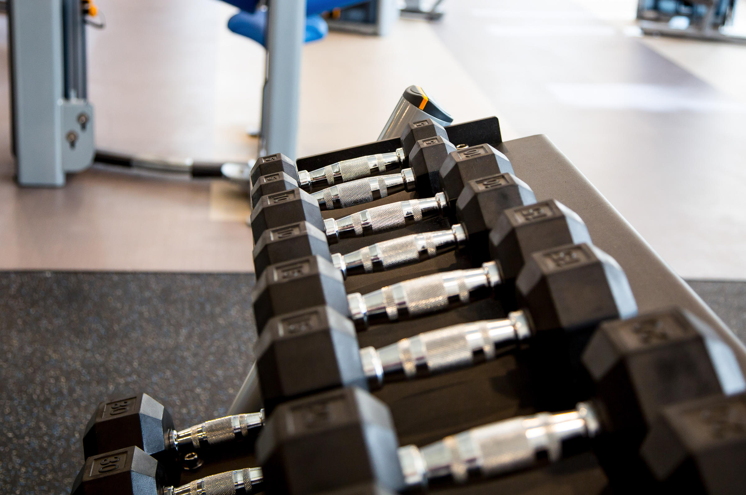 A row of black dumbbells on a rack in a gym with exercise equipment in the background.